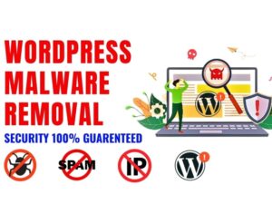 You will get WordPress Malware Removal | Site Cleanup | Virus Removal