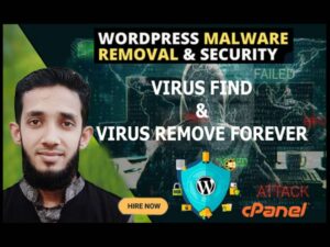 Malware Removal & Hacked Website Recovery Service